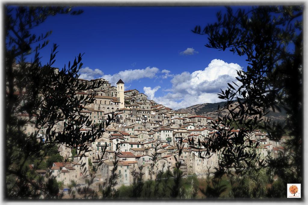 Villa La Loggetta Di Apricus Olevano Romano Exterior foto